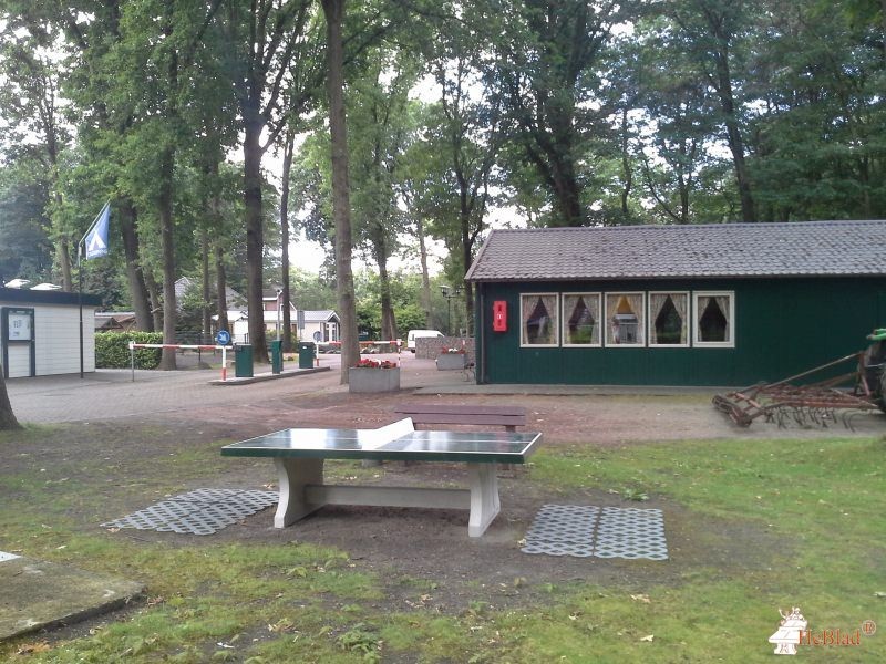 Kampeer & Chaletpark De Paddock uit Baarle-Nassau