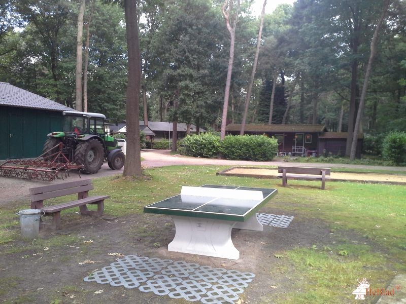 Kampeer & Chaletpark De Paddock uit Baarle-Nassau