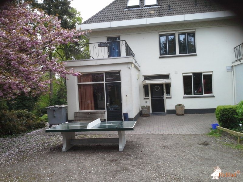 Intermetzo Zonnehuizen uit Bosch en Duin