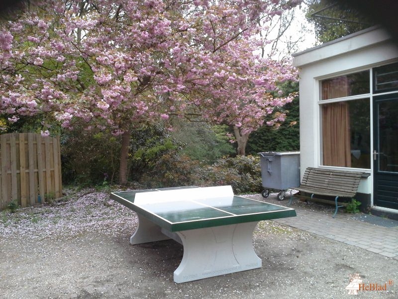 Intermetzo Zonnehuizen uit Bosch en Duin