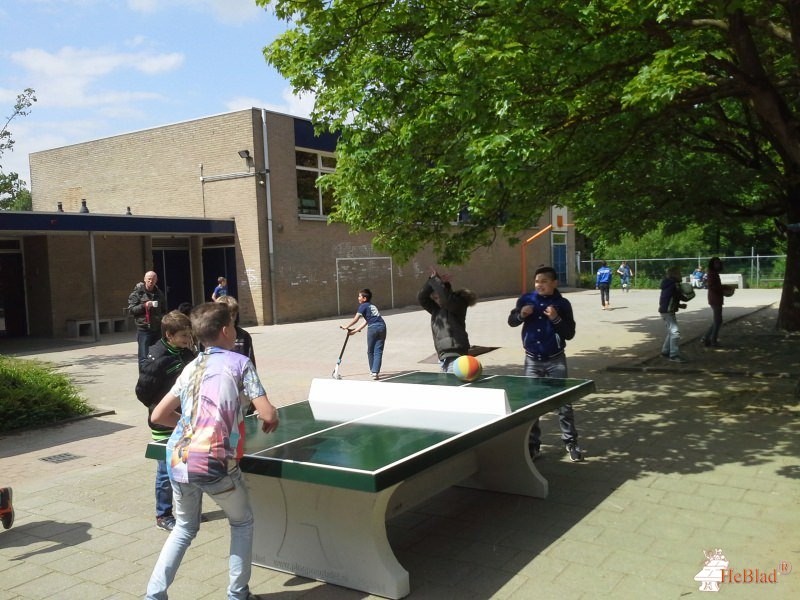Stg. Vrienden van SBO SAM uit Doetinchem