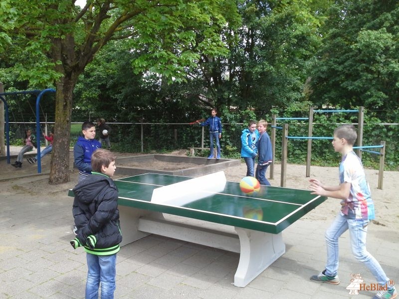 Stg. Vrienden van SBO SAM uit Doetinchem