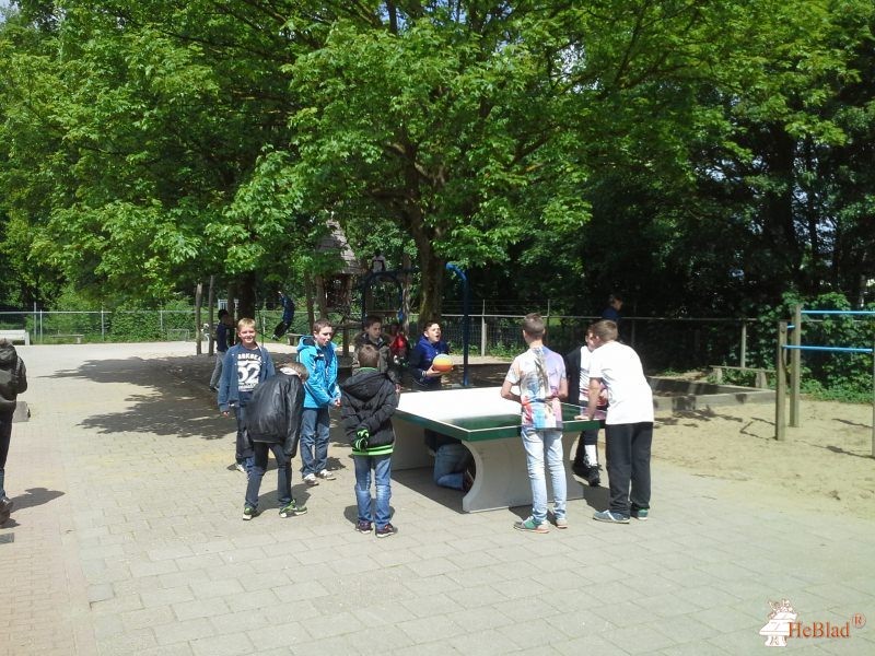 Stg. Vrienden van SBO SAM uit Doetinchem