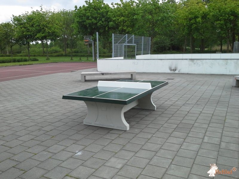 Kleine Rietplas uit Emmen