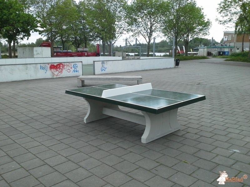Kleine Rietplas uit Emmen
