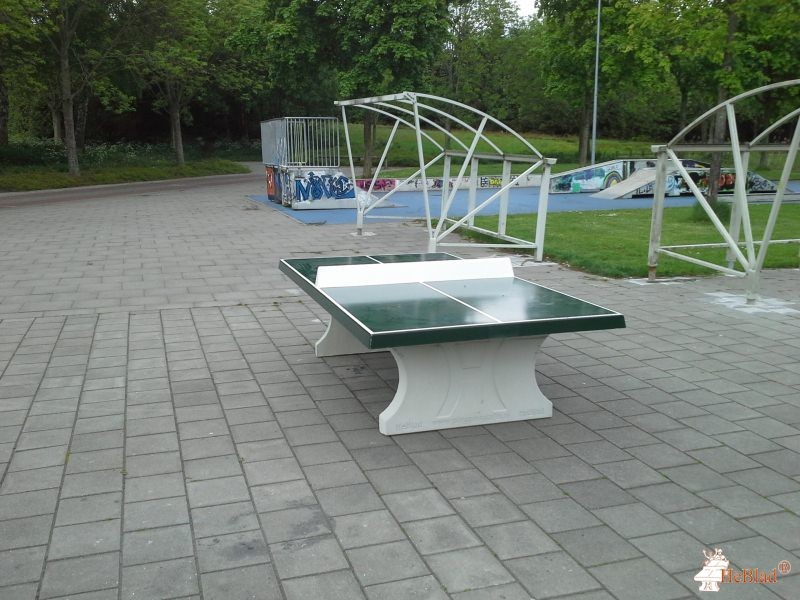 Kleine Rietplas uit Emmen