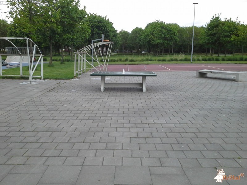 Kleine Rietplas uit Emmen