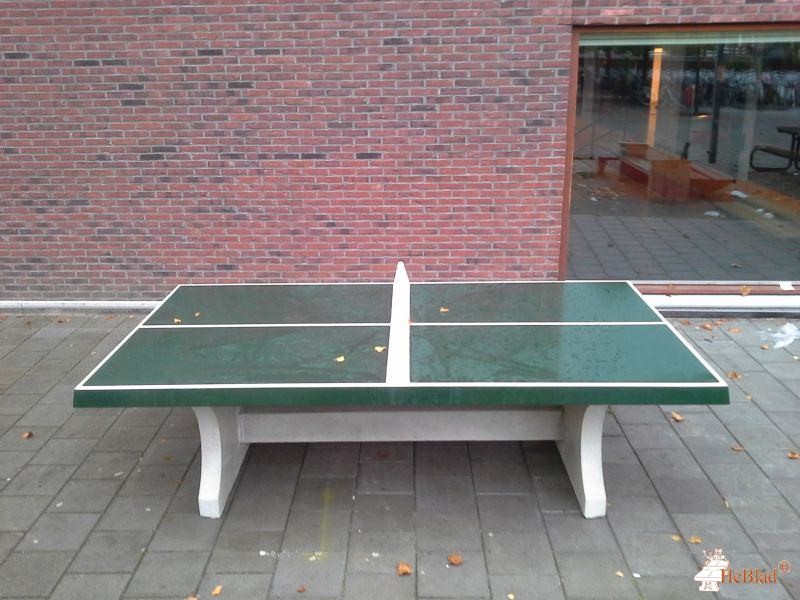 Bataafs Lyceum uit Hengelo