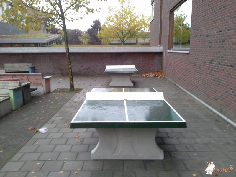 Bataafs Lyceum uit Hengelo