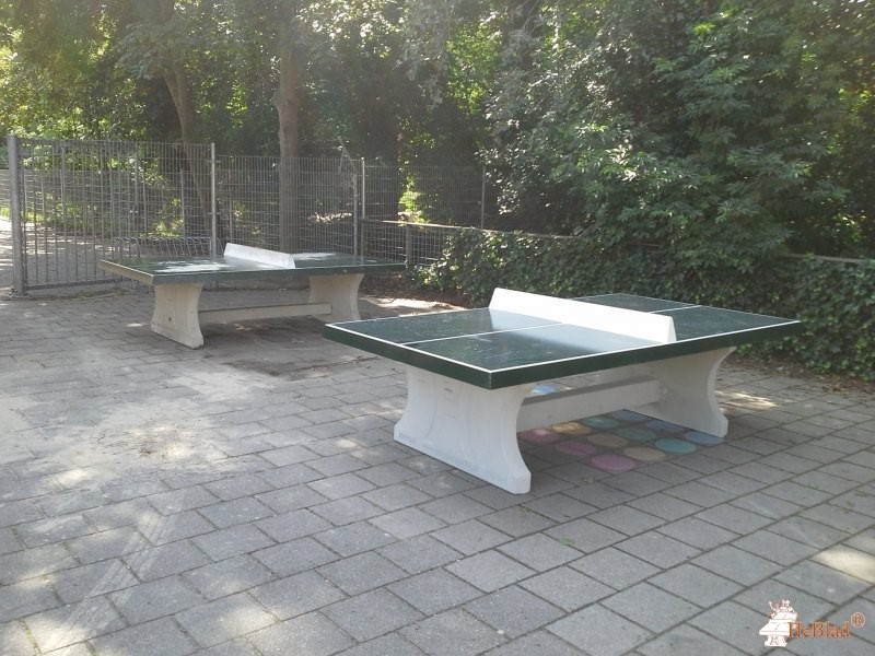 Sint Jozefschool uit Nederhorst den Berg