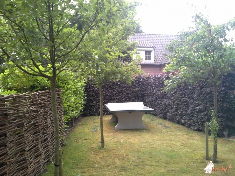Ortho Consult uit Oirschot