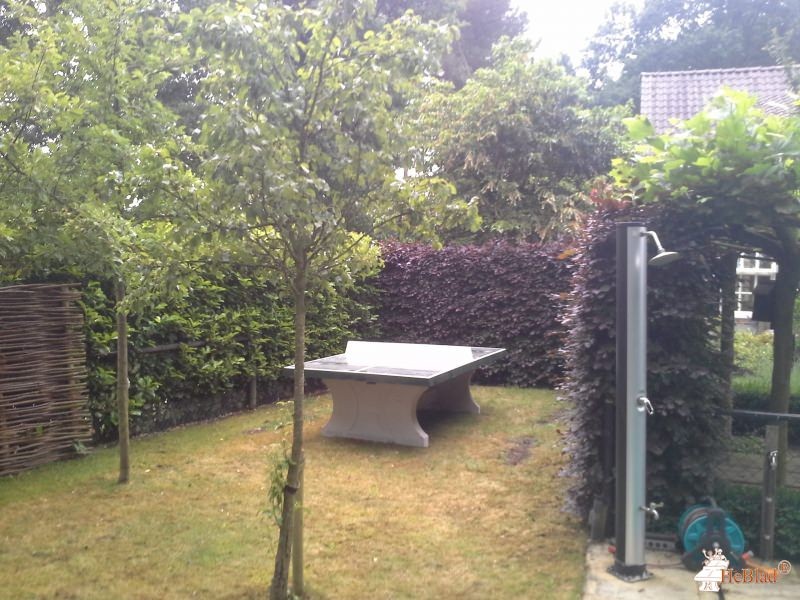 Ortho Consult uit Oirschot