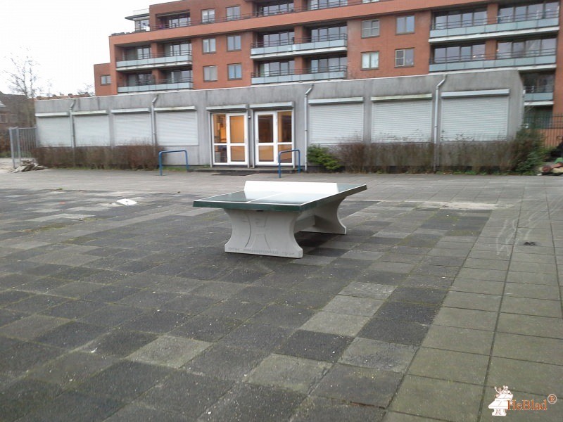 Calvijn College uit Rotterdam