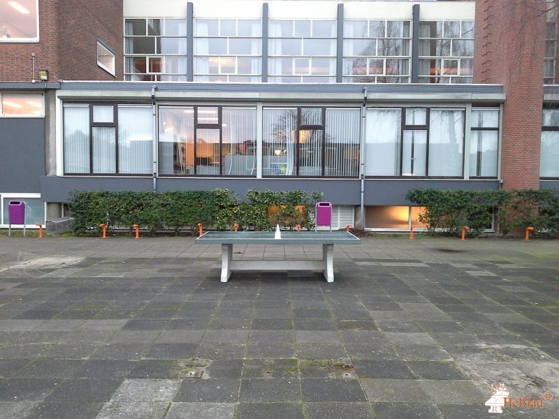 Calvijn College uit Rotterdam
