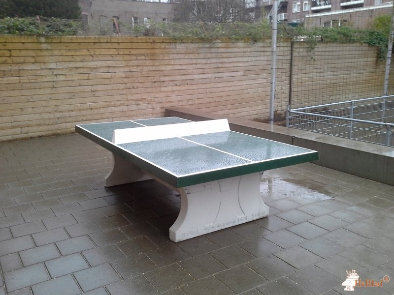 Nieuwe Park Rozenburgschool uit Rotterdam
