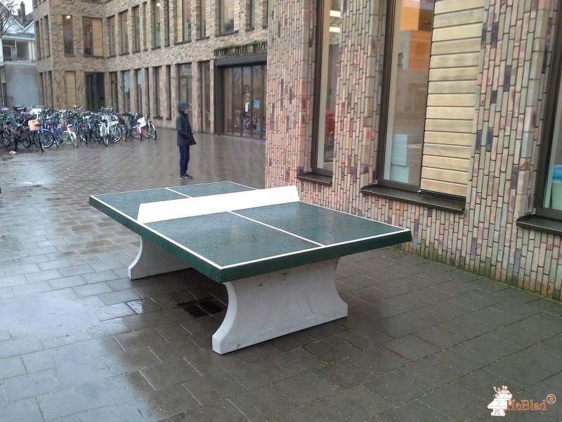 Nieuwe Park Rozenburgschool uit Rotterdam