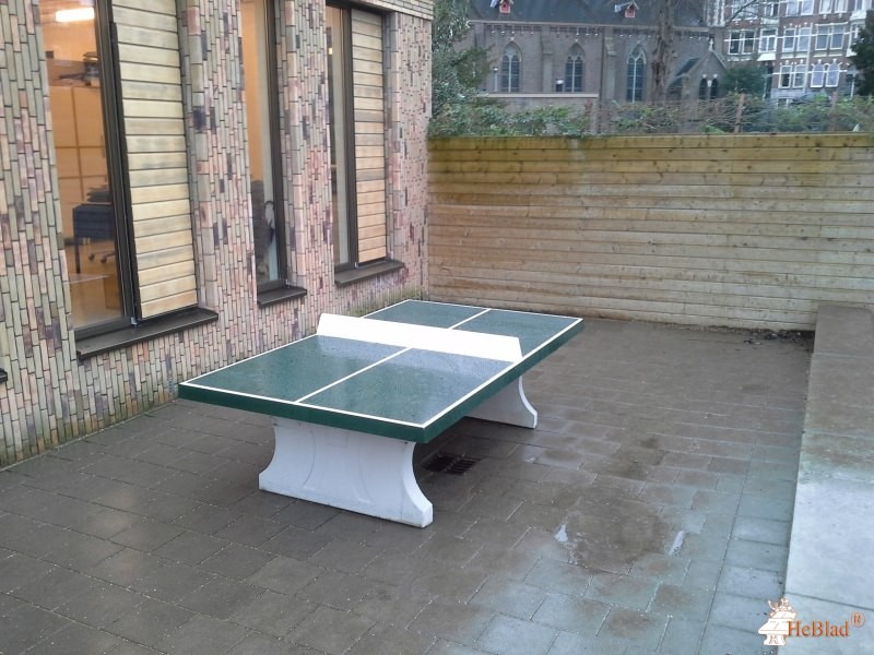 Nieuwe Park Rozenburgschool uit Rotterdam