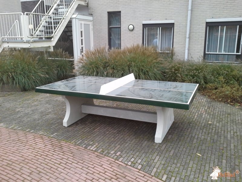 Leliezorggroep uit Rotterdam