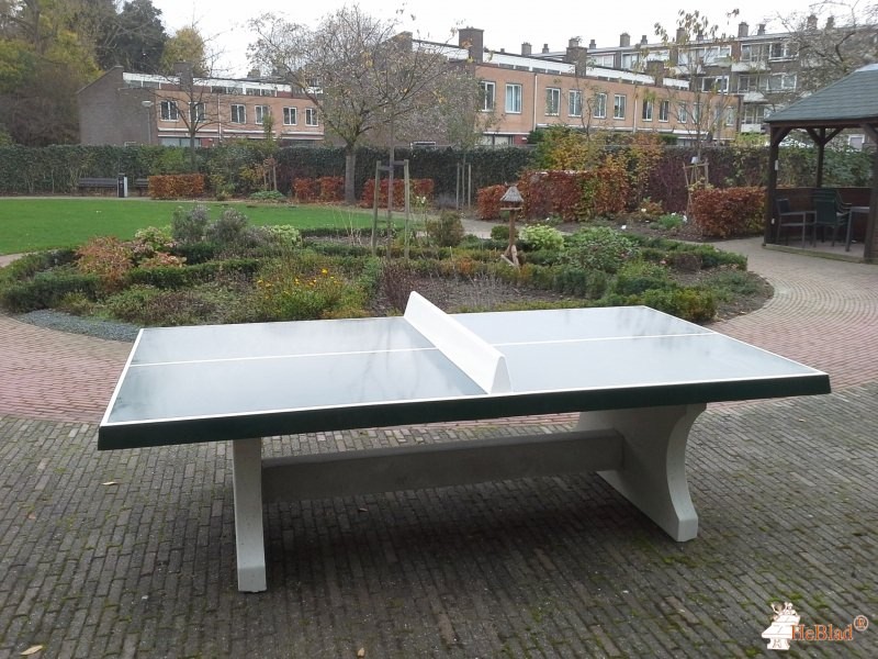 Leliezorggroep uit Rotterdam
