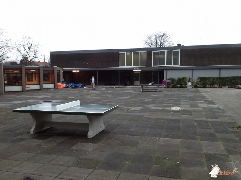 Calvijn College uit Rotterdam