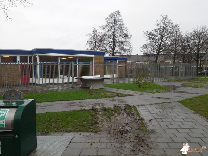 Obs de Phoenix uit Rozenburg