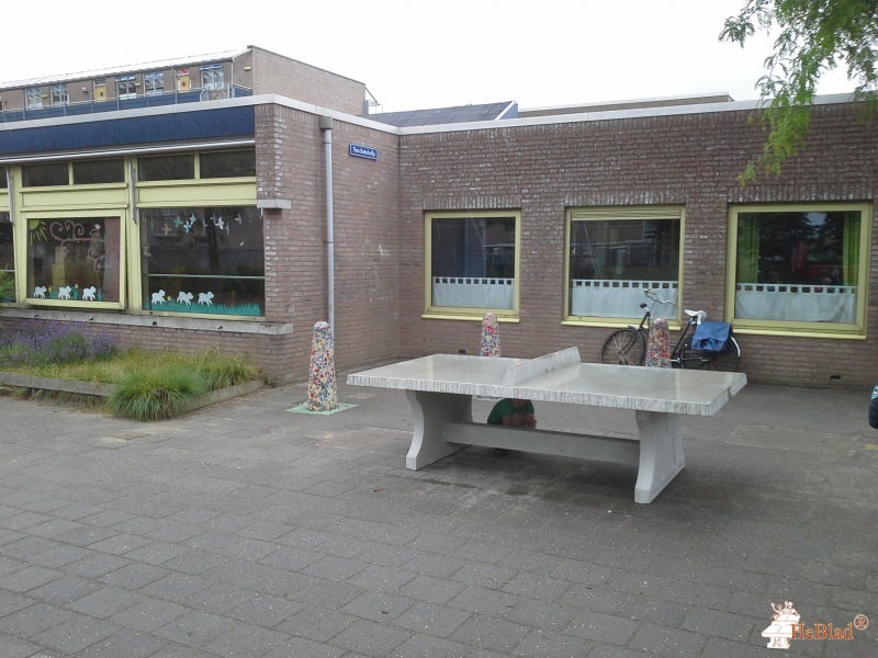 Montessorischool Aquamarijn uit Den Bosch