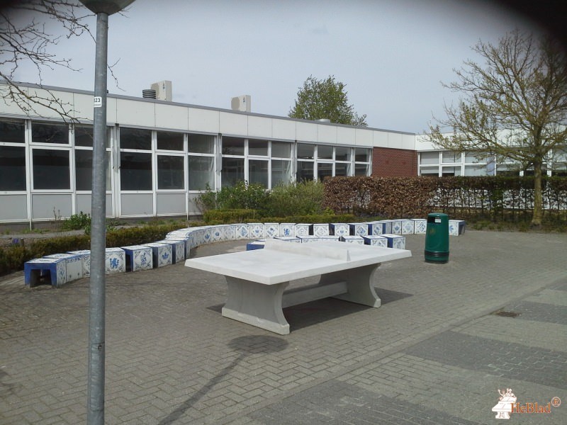 Terra Oldekerk uit Oldekerk