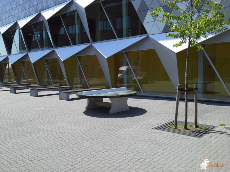 Citadel College uit Lent