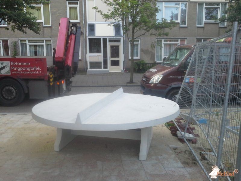 Hannemanplantsoen  uit Den Haag
