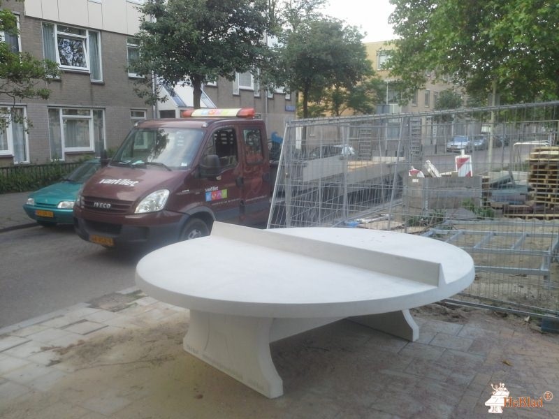 Hannemanplantsoen  uit Den Haag