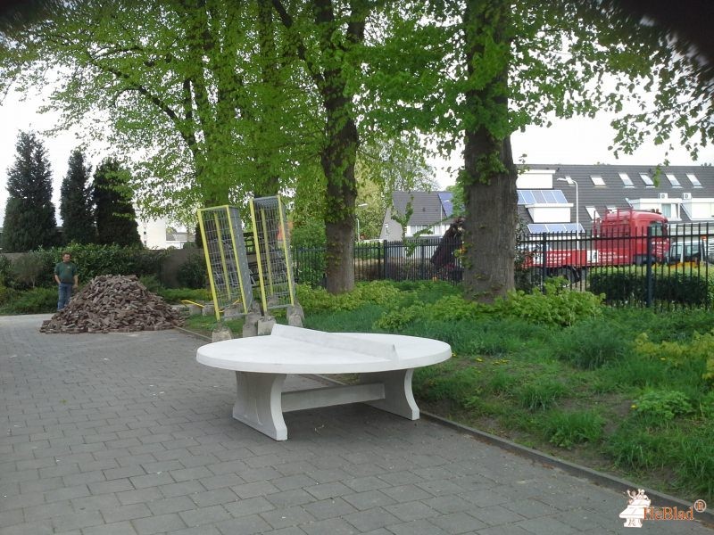 BS Cleijn Hasselt uit Tilburg