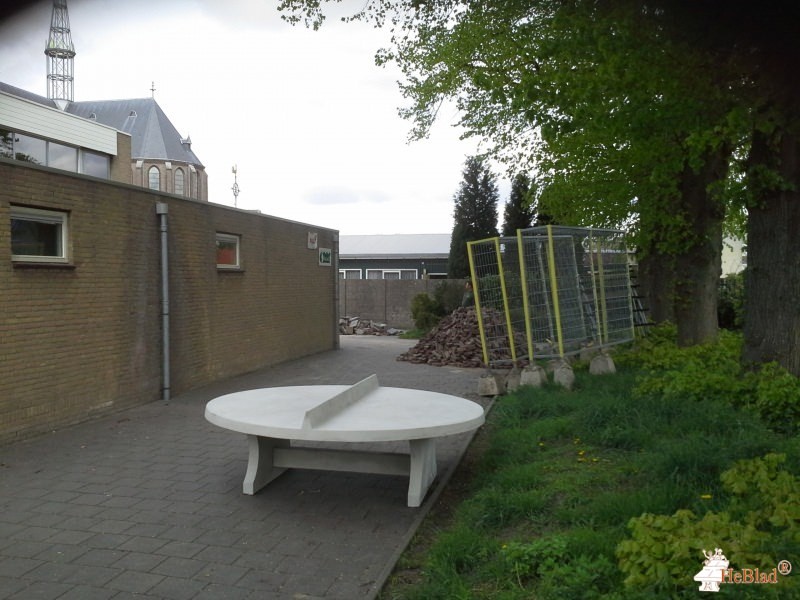 BS Cleijn Hasselt uit Tilburg