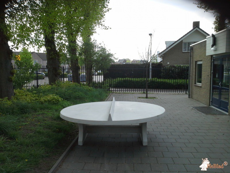 BS Cleijn Hasselt uit Tilburg