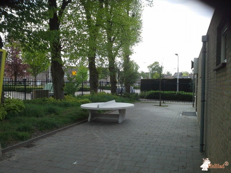 BS Cleijn Hasselt uit Tilburg