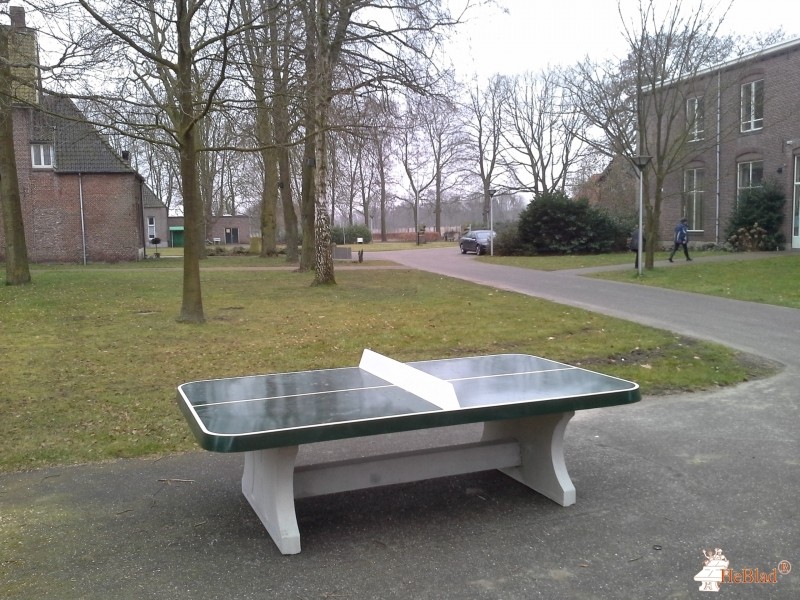 Stichting Mariapoli Mariënkroon uit Nieuwkuijk