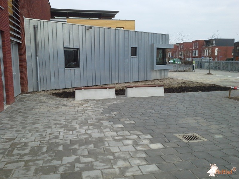De Ster / Het Talent / De Windroos  uit Lent