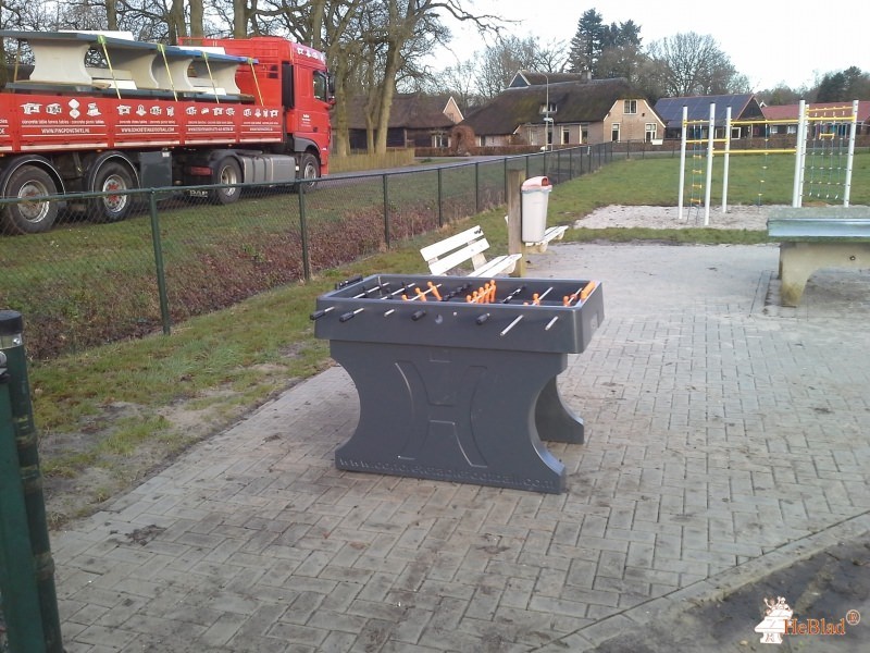 Mepperdennen uit Meppen