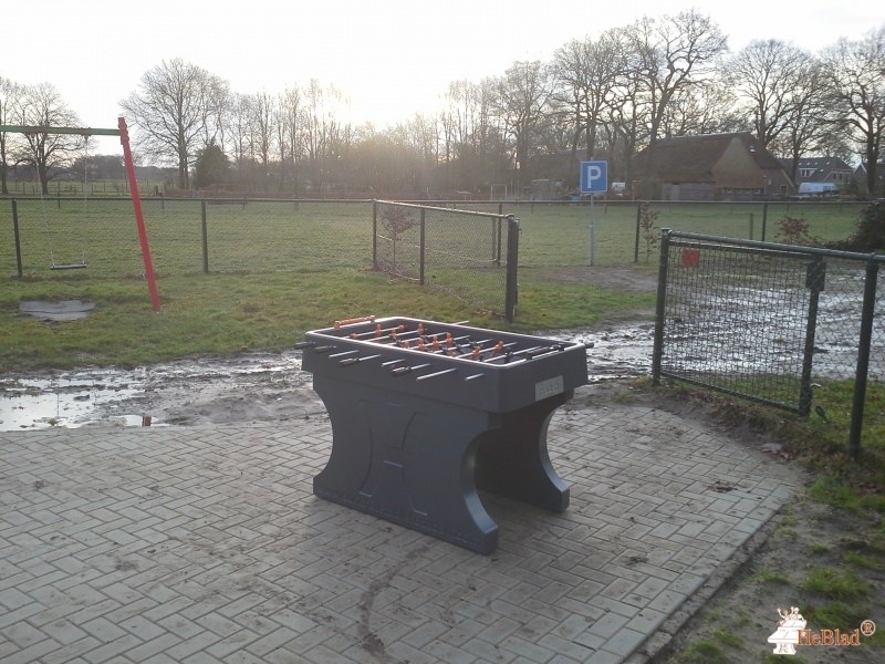 Mepperdennen uit Meppen