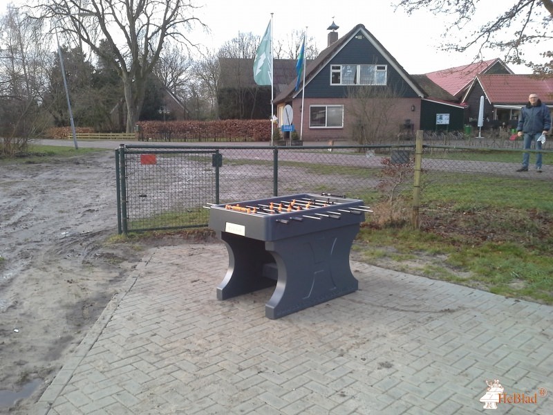 Mepperdennen uit Meppen