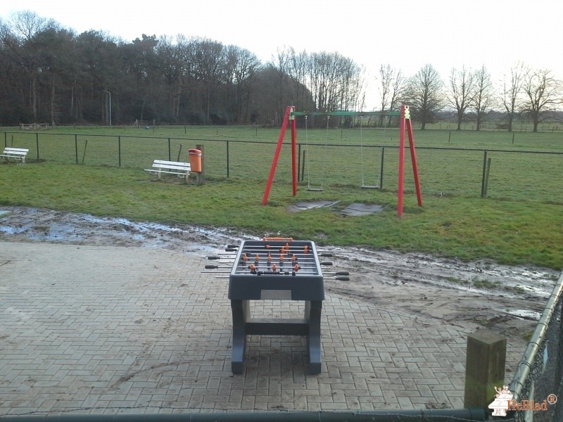Mepperdennen uit Meppen