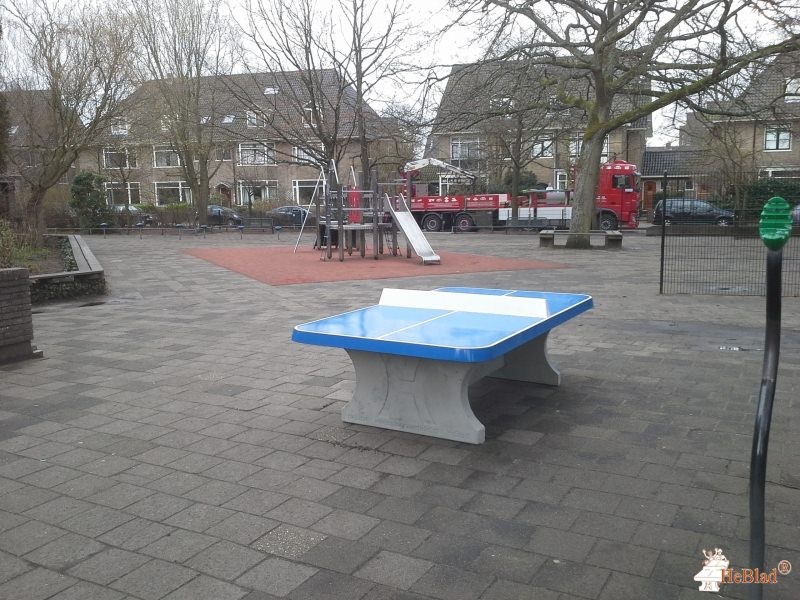 Montessori school uit Haarlem
