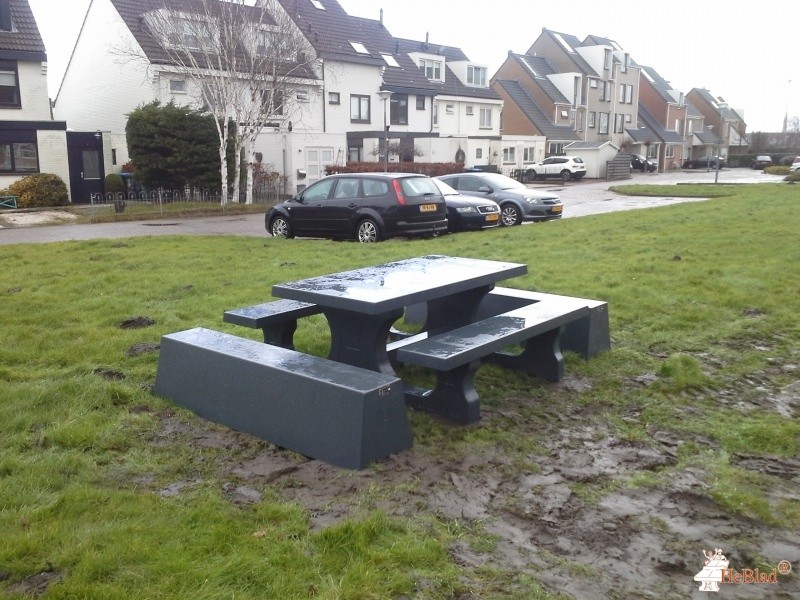Speelveld Mercurius + Andromeda uit Den Helder