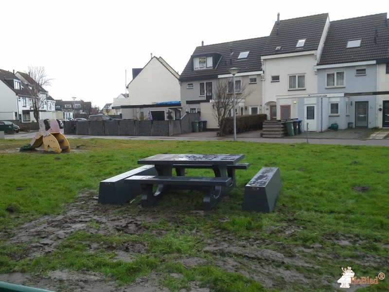 Speelveld Mercurius + Andromeda uit Den Helder