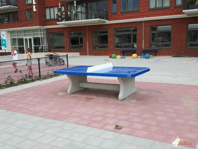 Schoolplein uit Alkmaar