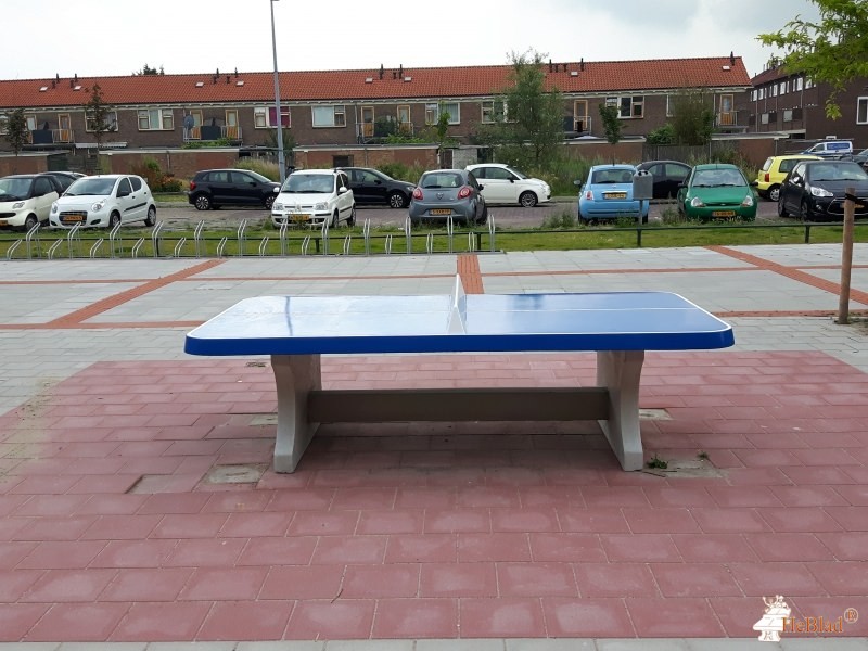 Schoolplein uit Alkmaar