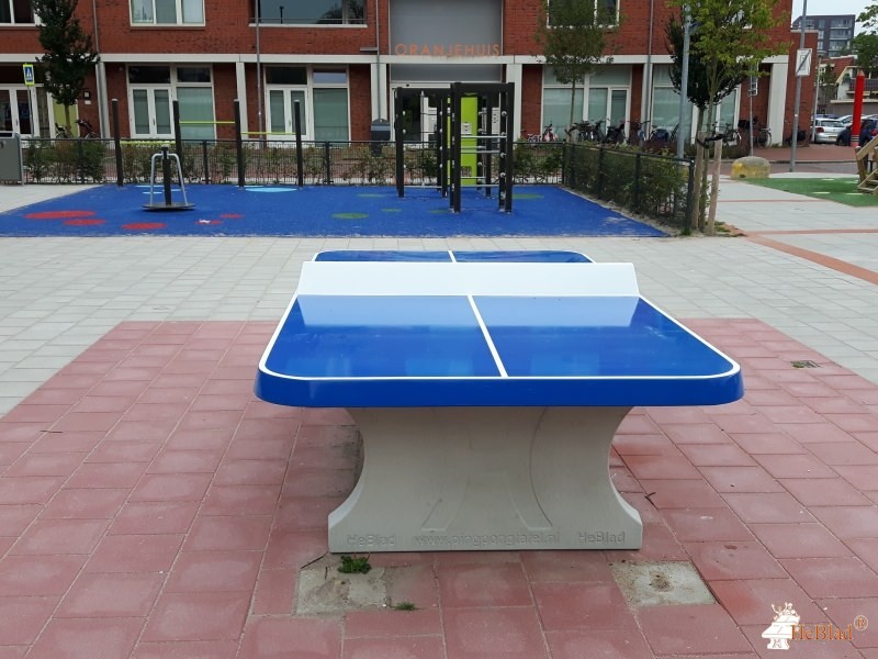 Schoolplein uit Alkmaar
