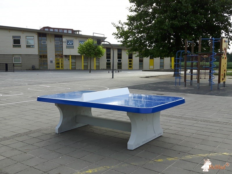 BS de Optimist uit Almere