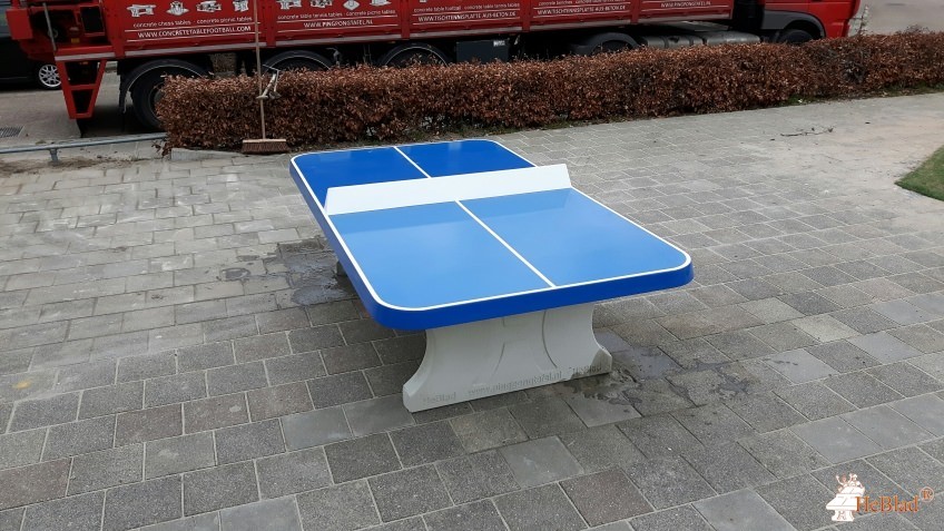 Heliotroop uit Almere Stad