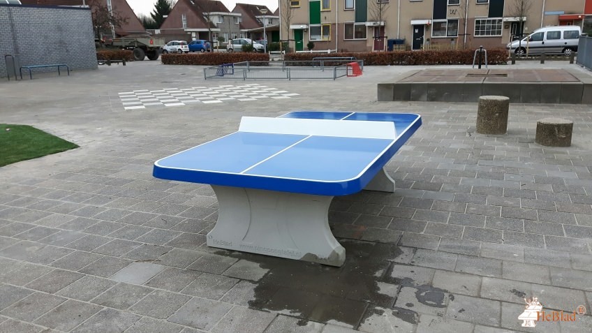 Heliotroop uit Almere Stad