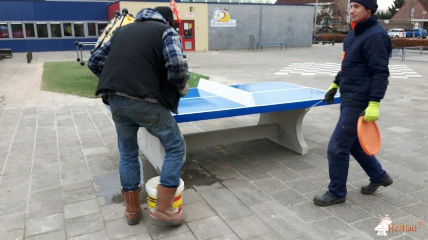Heliotroop uit Almere Stad
